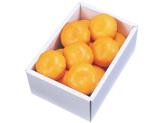 楽天市場】＼ 送料無料 ／ ハウスさぬき紅みかん 1.2kg（12~15個