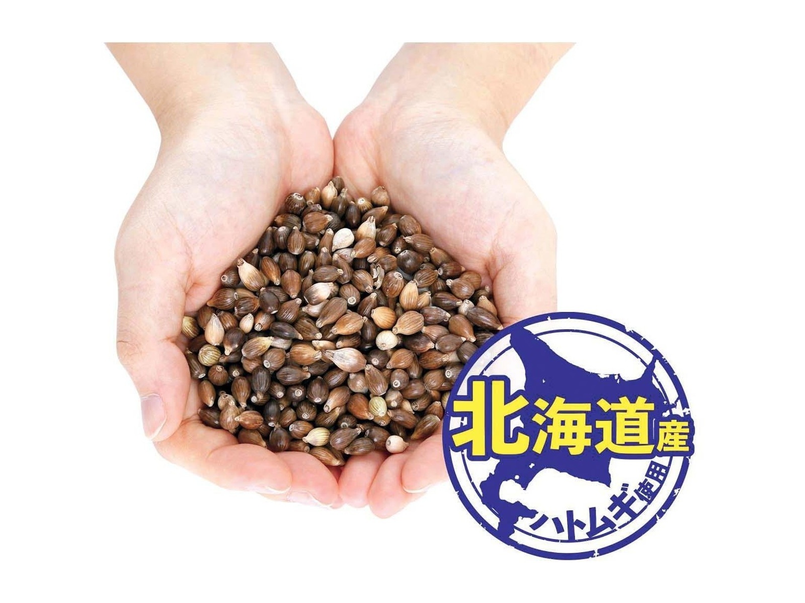 発酵ハトムギピーリングジェル 500g| コープこうべネット