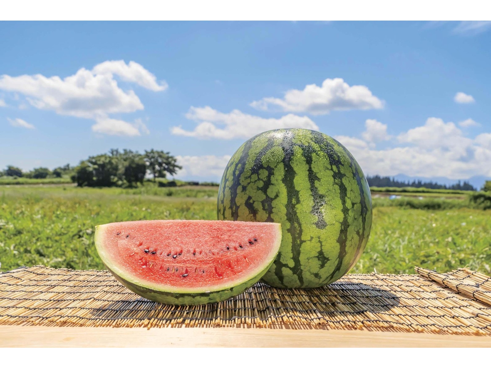 キリン 氷結モッタイナイ尾花沢すいか 350ml（缶）| コープ