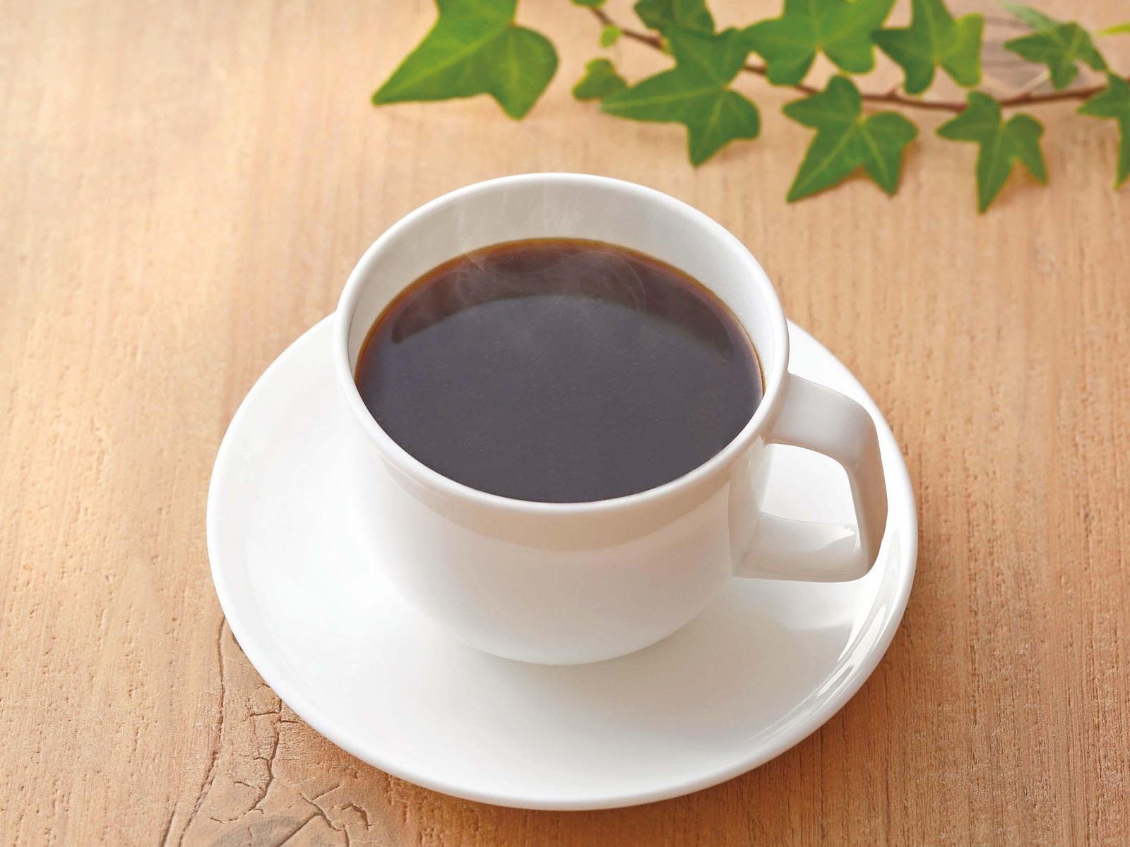 ミル総本社 フィットライフコーヒー 1箱（8.5g×10包入）| コープ