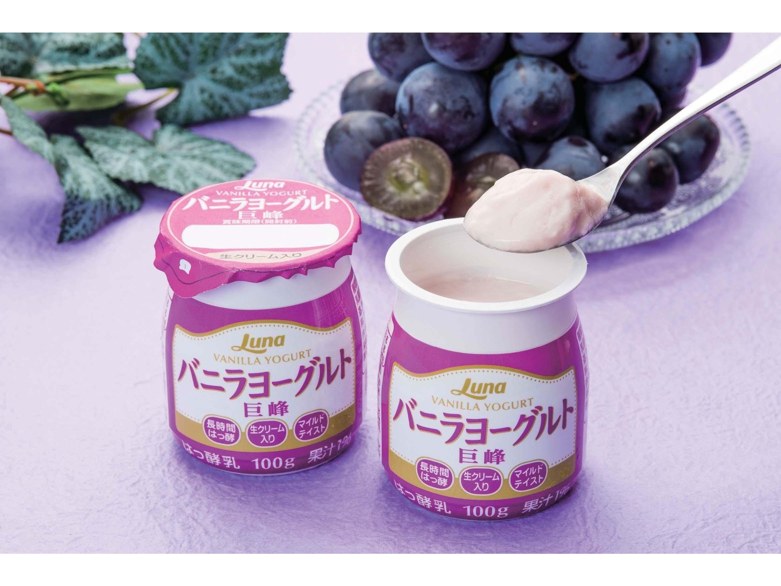 日本ルナ バニラヨーグルト 巨峰 100g×6コ入| コープこうべネット 日本ルナ バニラヨーグルト 巨峰 100g×6コ入| コープこうべネット