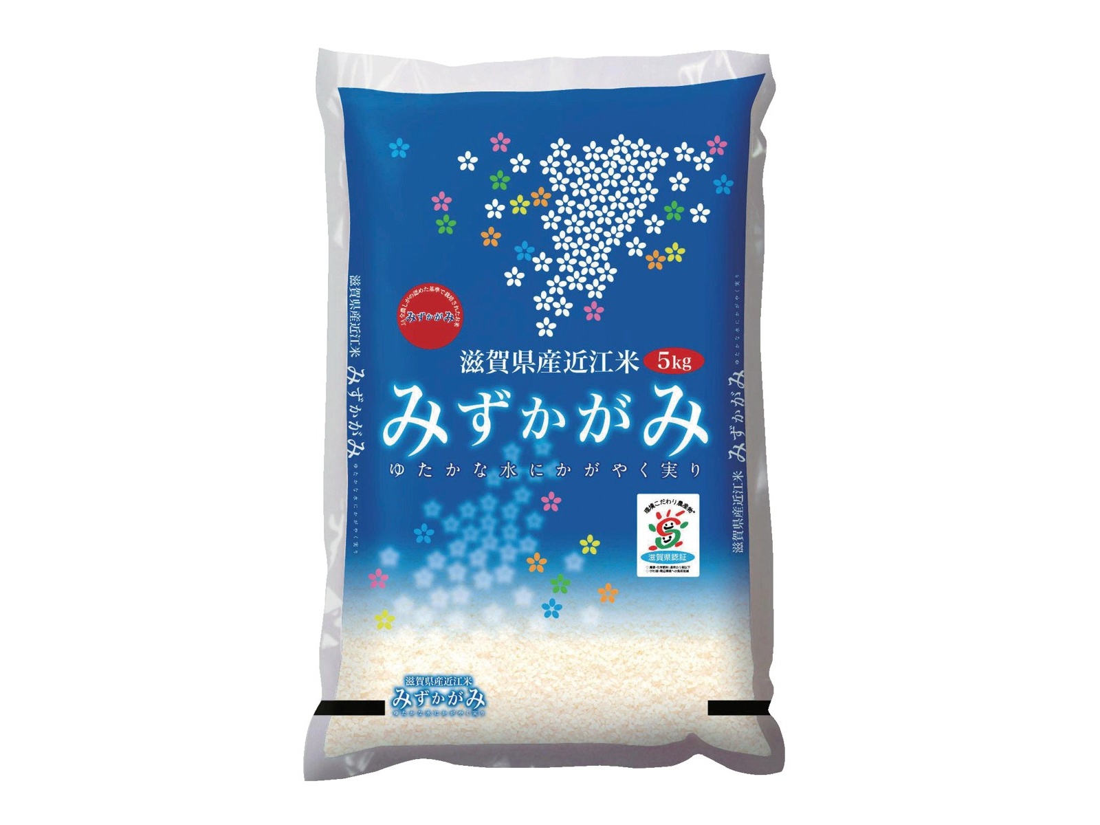 特A】みずかがみ 白米 玄米 10kg 令和6年 滋賀県産 米 お米 送料